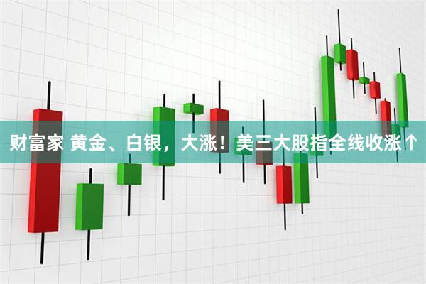 财富家 黄金、白银，大涨！美三大股指全线收涨↑