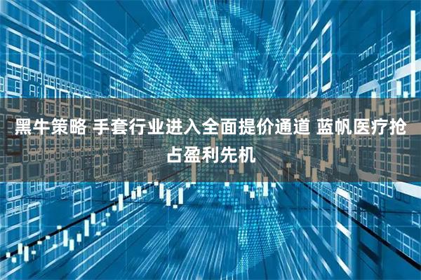 黑牛策略 手套行业进入全面提价通道 蓝帆医疗抢占盈利先机