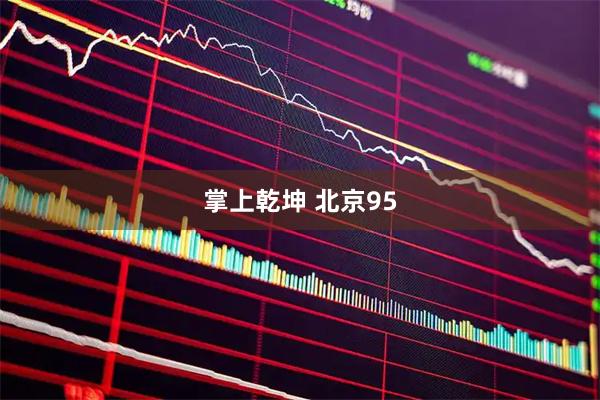 掌上乾坤 北京95