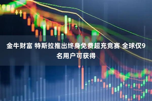 金牛财富 特斯拉推出终身免费超充竞赛 全球仅9名用户可获得